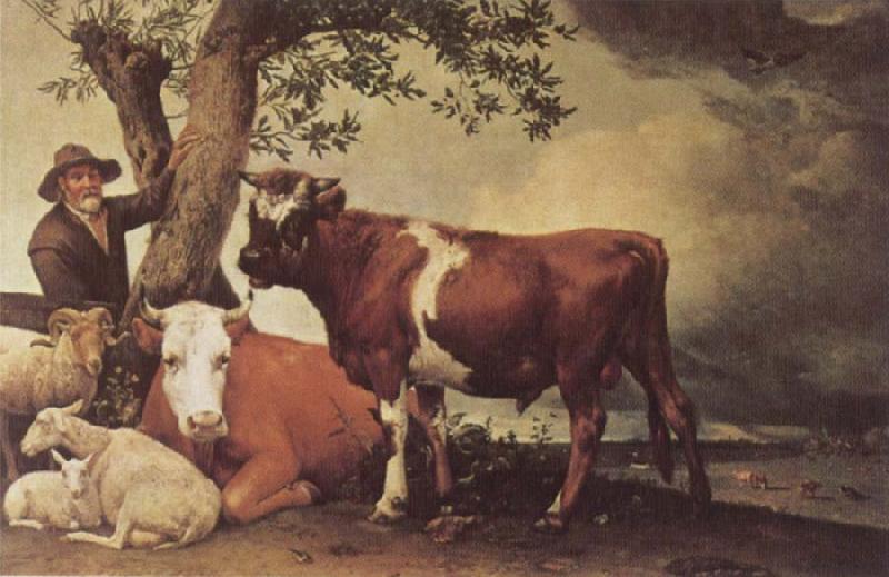 POTTER, Paulus Young Bull China oil painting art